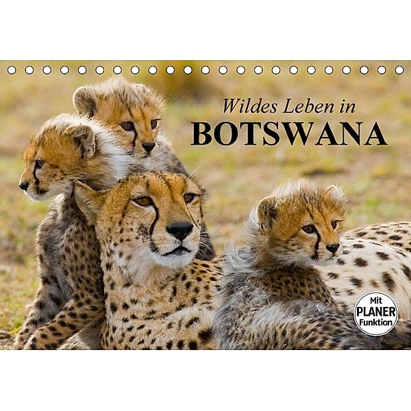 Wildes Leben in Botswana (Tischkalender 2018 DIN A5 quer), Elisabeth Stanzer