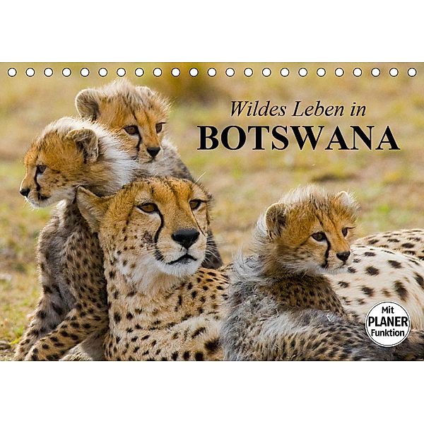 Wildes Leben in Botswana (Tischkalender 2021 DIN A5 quer), Elisabeth Stanzer