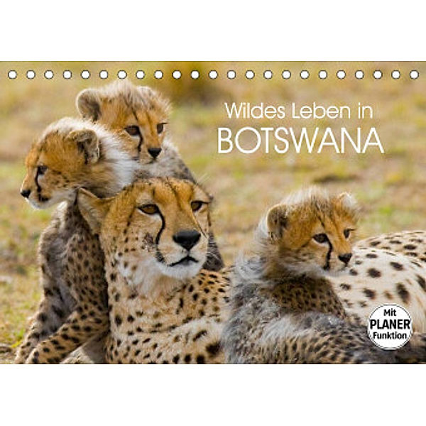 Wildes Leben in Botswana (Tischkalender 2023 DIN A5 quer), Elisabeth Stanzer