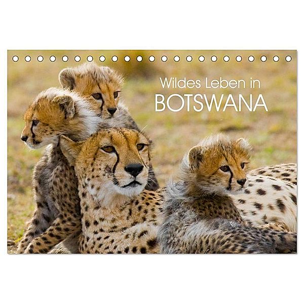 Wildes Leben in Botswana (Tischkalender 2025 DIN A5 quer), CALVENDO Monatskalender, Calvendo, Elisabeth Stanzer