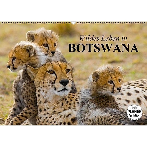 Wildes Leben in Botswana (Wandkalender 2017 DIN A2 quer), Elisabeth Stanzer