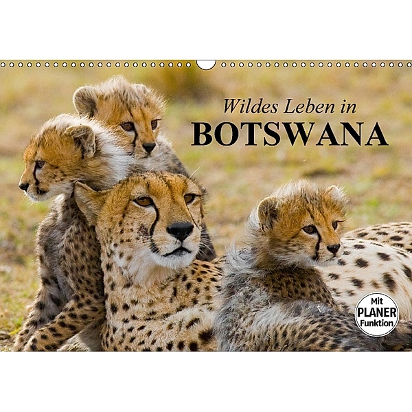 Wildes Leben in Botswana (Wandkalender 2018 DIN A3 quer), Elisabeth Stanzer