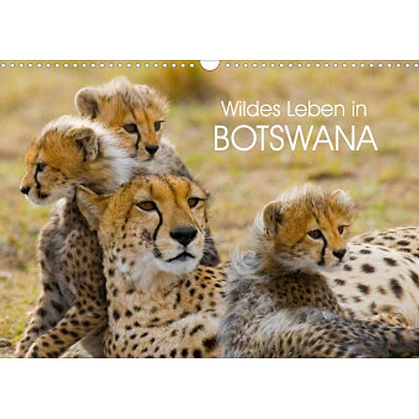 Wildes Leben in Botswana (Wandkalender 2023 DIN A3 quer), Elisabeth Stanzer