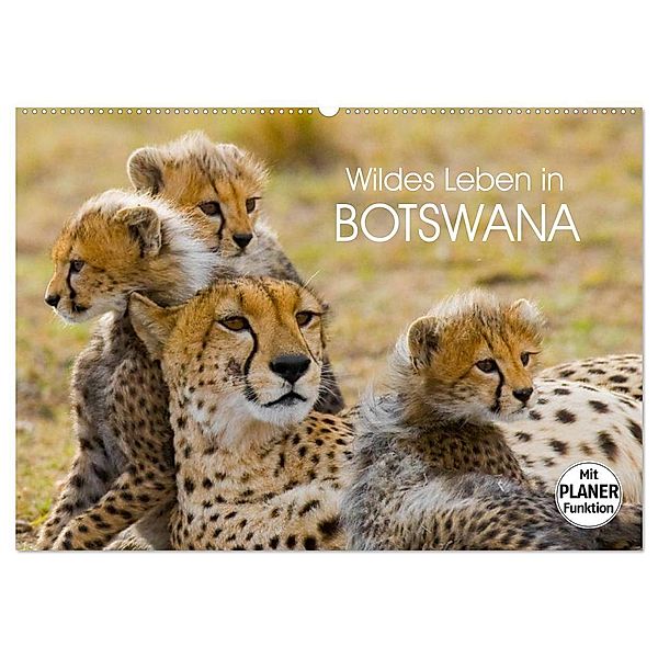 Wildes Leben in Botswana (Wandkalender 2024 DIN A2 quer), CALVENDO Monatskalender, Elisabeth Stanzer