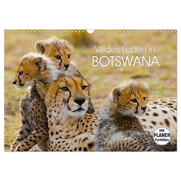 Wildes Leben in Botswana (Wandkalender 2024 DIN A3 quer), CALVENDO Monatskalender, Elisabeth Stanzer