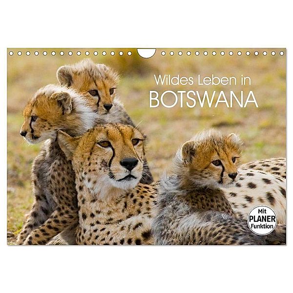 Wildes Leben in Botswana (Wandkalender 2024 DIN A4 quer), CALVENDO Monatskalender, Elisabeth Stanzer