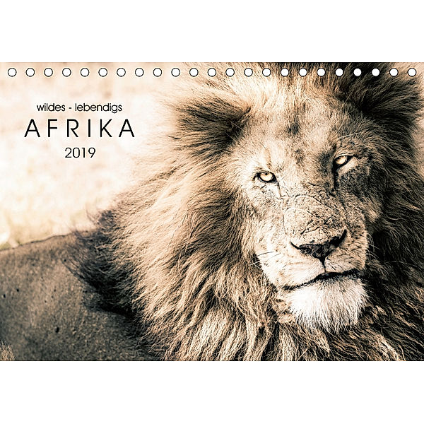 wildes - lebendiges AFRIKA (Tischkalender 2019 DIN A5 quer), Toby Seifinger