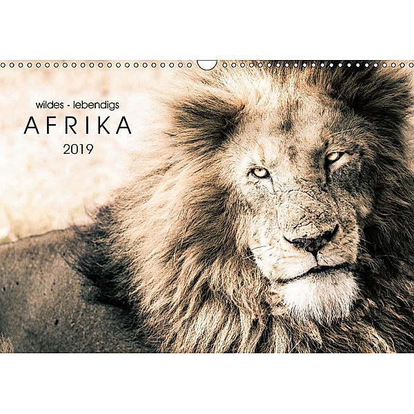 wildes - lebendiges AFRIKA (Wandkalender 2019 DIN A3 quer), Toby Seifinger