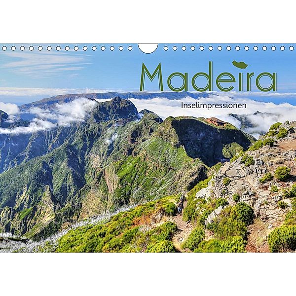 Wildes Madeira - Inselimpressionen (Wandkalender 2020 DIN A4 quer), Dirk Stamm