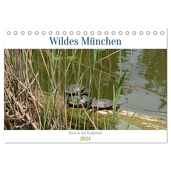 Wildes München (Tischkalender 2024 DIN A5 quer), CALVENDO Monatskalender, Ingrid Franz