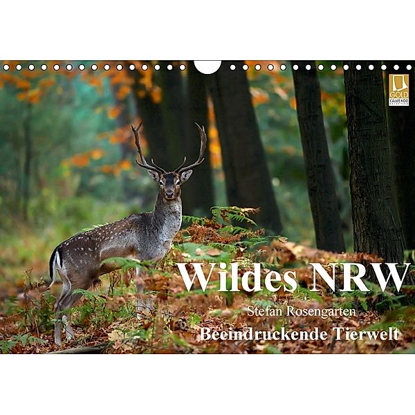 Wildes NRW - Beeindruckende Tierwelt (Wandkalender 2018 DIN A4 quer), Stefan Rosengarten