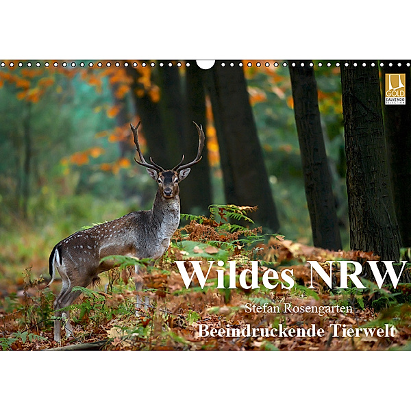Wildes NRW - Beeindruckende Tierwelt (Wandkalender 2019 DIN A3 quer), Stefan Rosengarten