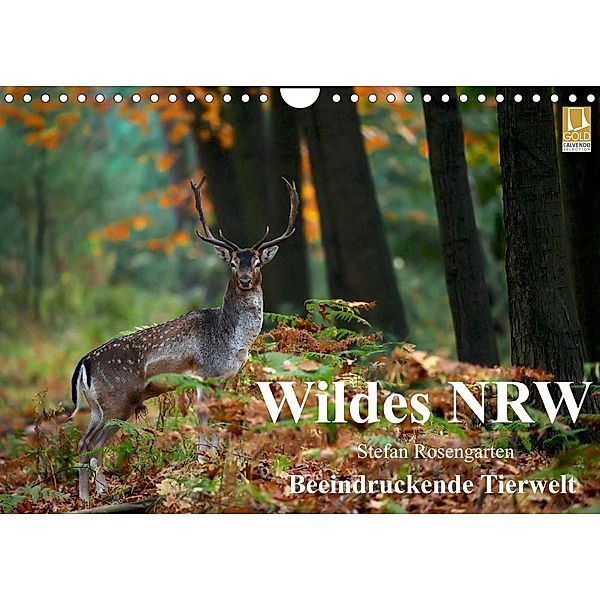 Wildes NRW - Beeindruckende Tierwelt (Wandkalender 2023 DIN A4 quer), Stefan Rosengarten