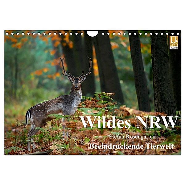 Wildes NRW - Beeindruckende Tierwelt (Wandkalender 2024 DIN A4 quer), CALVENDO Monatskalender, Stefan Rosengarten