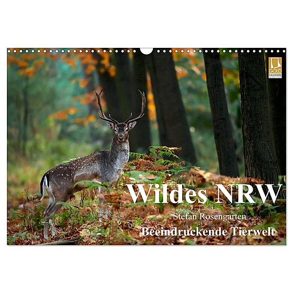 Wildes NRW - Beeindruckende Tierwelt (Wandkalender 2024 DIN A3 quer), CALVENDO Monatskalender, Stefan Rosengarten