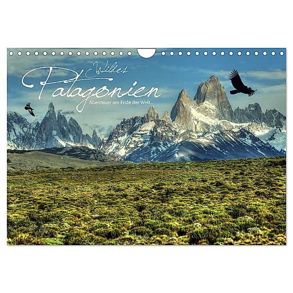 Wildes Patagonien - Abenteuer am Ende der Welt (Wandkalender 2024 DIN A4 quer), CALVENDO Monatskalender, Dirk Stamm
