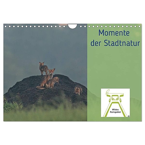 Wildes Ruhrgebiet - Momente der Stadtnatur (Wandkalender 2024 DIN A4 quer), CALVENDO Monatskalender, Wildes Ruhrgebiet