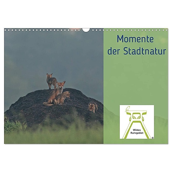 Wildes Ruhrgebiet - Momente der Stadtnatur (Wandkalender 2024 DIN A3 quer), CALVENDO Monatskalender, Wildes Ruhrgebiet