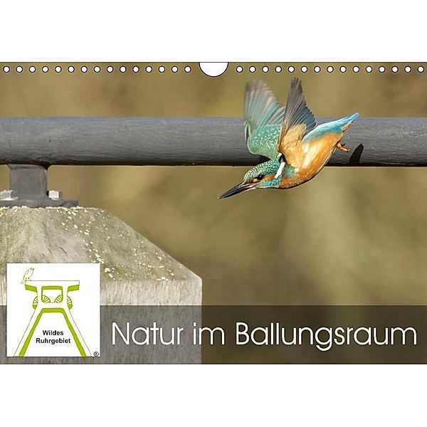 Wildes Ruhrgebiet - Natur im Ballungsraum (Wandkalender 2017 DIN A4 quer), Wildes Ruhrgebiet