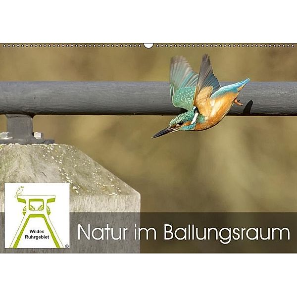 Wildes Ruhrgebiet - Natur im Ballungsraum (Wandkalender 2017 DIN A2 quer), Wildes Ruhrgebiet