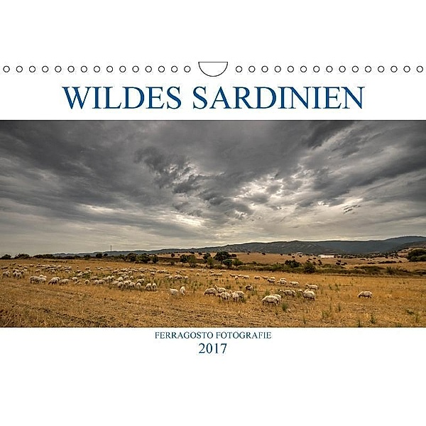 Wildes Sardinien 2017 (Wandkalender 2017 DIN A4 quer), ferragosto Fotografie