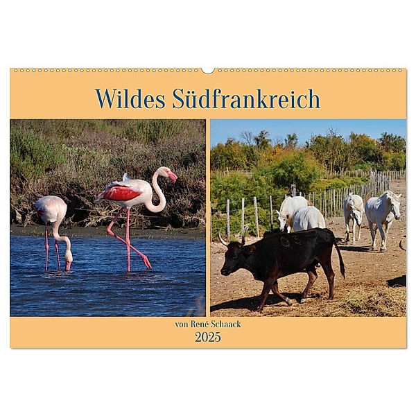 Wildes Südfrankreich (Wandkalender 2025 DIN A2 quer), CALVENDO Monatskalender, Calvendo, René Schaack