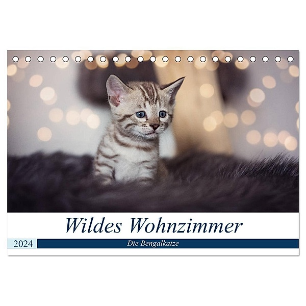 Wildes Wohnzimmer - Die Bengalkatze (Tischkalender 2024 DIN A5 quer), CALVENDO Monatskalender, Robyn meets Elos Photography