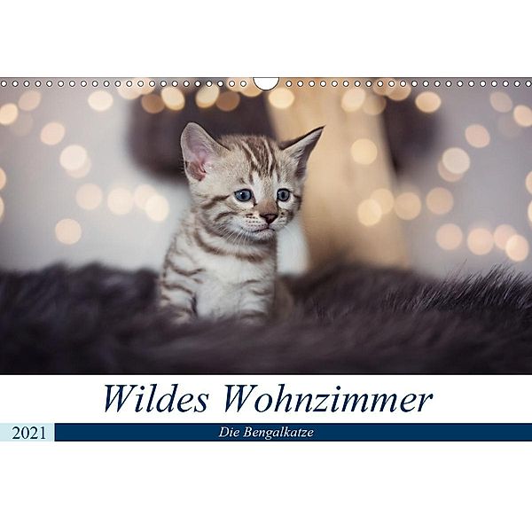 Wildes Wohnzimmer - Die Bengalkatze (Wandkalender 2021 DIN A3 quer), Robyn meets Elos Photography
