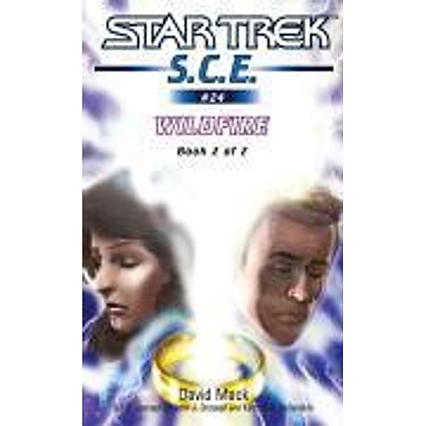 Wildfire Book 2 / Star Trek: Starfleet Corps of Engineers Bd.24, David Mack