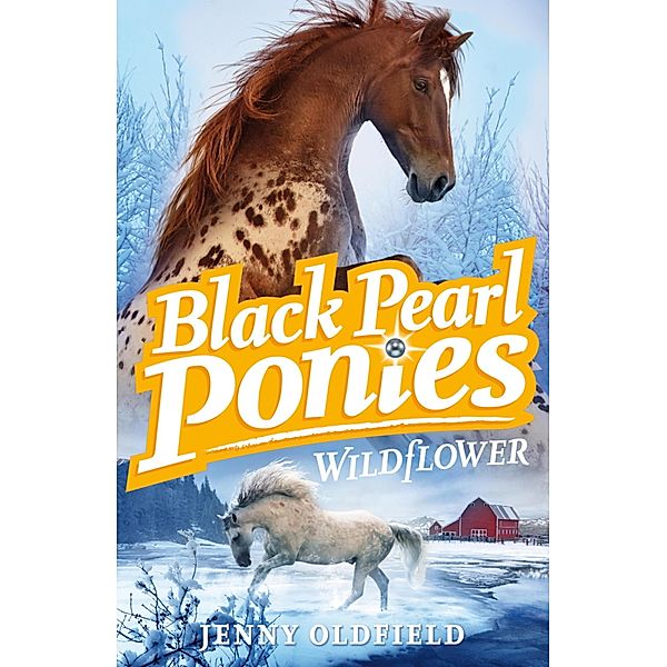 Wildflower / Black Pearl Ponies Bd.2, Jenny Oldfield