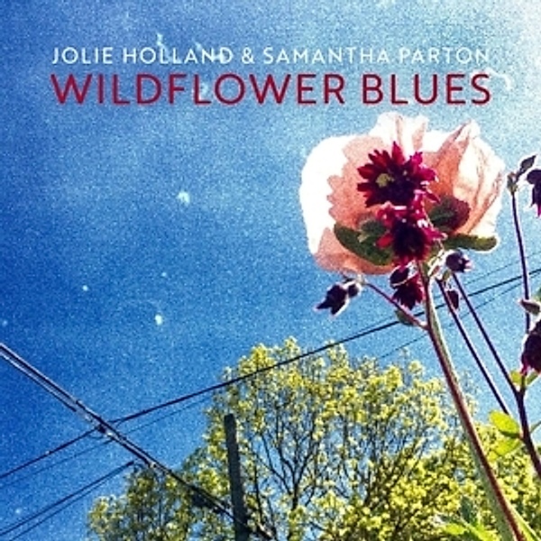 Wildflower Blues, Jolie Holland, Samantha Parton