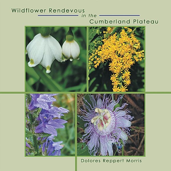 Wildflower Rendevous in the Cumberland Plateau, Dolores Reppert Morris