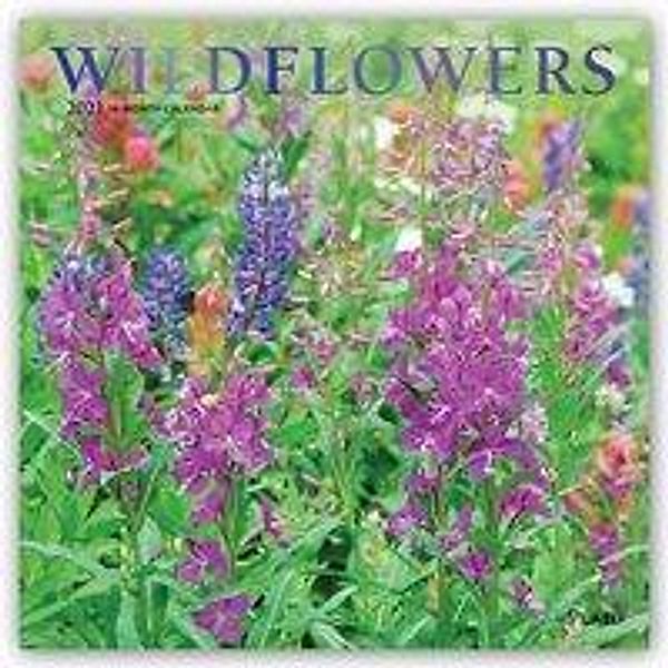 Wildflowers 2021, BrownTrout Publisher