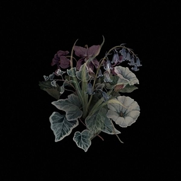 Wildflowers (2lp-Gtf/180 Gr/Black+Poster) (Vinyl), Nhor