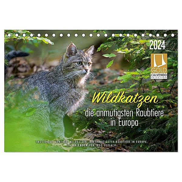 Wildkatzen - die anmutigsten Raubiere in Europa. (Tischkalender 2024 DIN A5 quer), CALVENDO Monatskalender, Ingo Gerlach