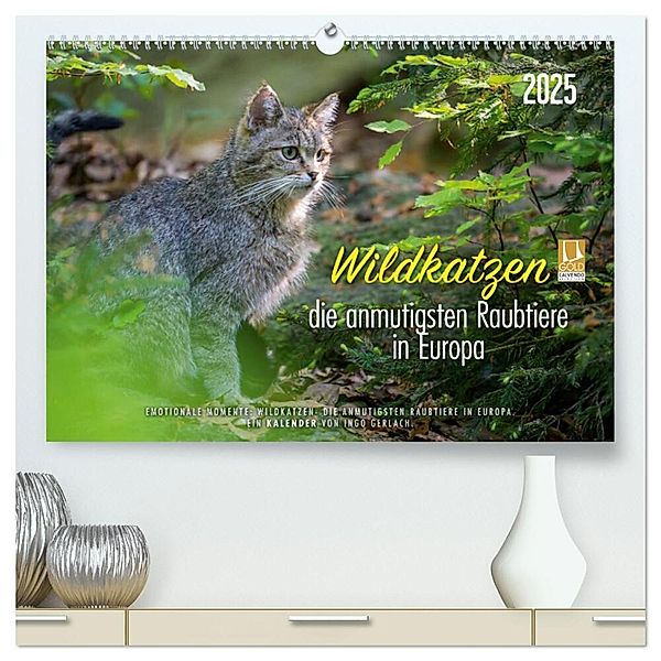 Wildkatzen - die anmutigsten Raubiere in Europa. (hochwertiger Premium Wandkalender 2025 DIN A2 quer), Kunstdruck in Hochglanz, Calvendo, Ingo Gerlach