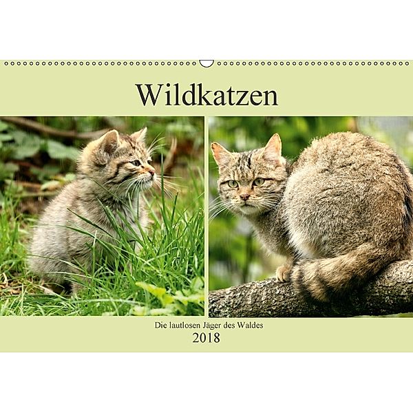 Wildkatzen - Die lautlosen Jäger des Waldes (Wandkalender 2018 DIN A2 quer) Dieser erfolgreiche Kalender wurde dieses Ja, Arno Klatt