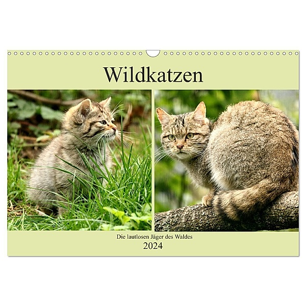 Wildkatzen - Die lautlosen Jäger des Waldes (Wandkalender 2024 DIN A3 quer), CALVENDO Monatskalender, Arno Klatt