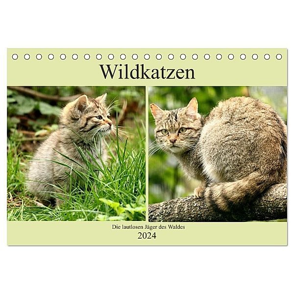 Wildkatzen - Die lautlosen Jäger des Waldes (Tischkalender 2024 DIN A5 quer), CALVENDO Monatskalender, Arno Klatt