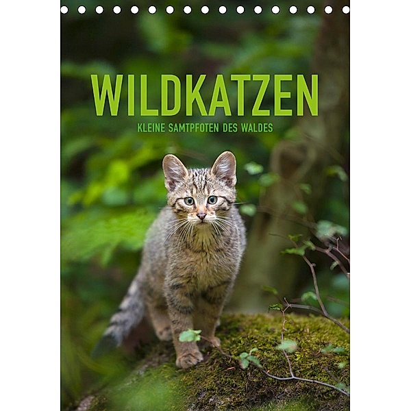 Wildkatzen - Kleine Samtpfoten des Waldes (Tischkalender 2021 DIN A5 hoch), Christina Krutz