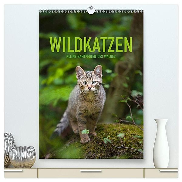 Wildkatzen - Kleine Samtpfoten des Waldes (hochwertiger Premium Wandkalender 2024 DIN A2 hoch), Kunstdruck in Hochglanz, Christina Krutz