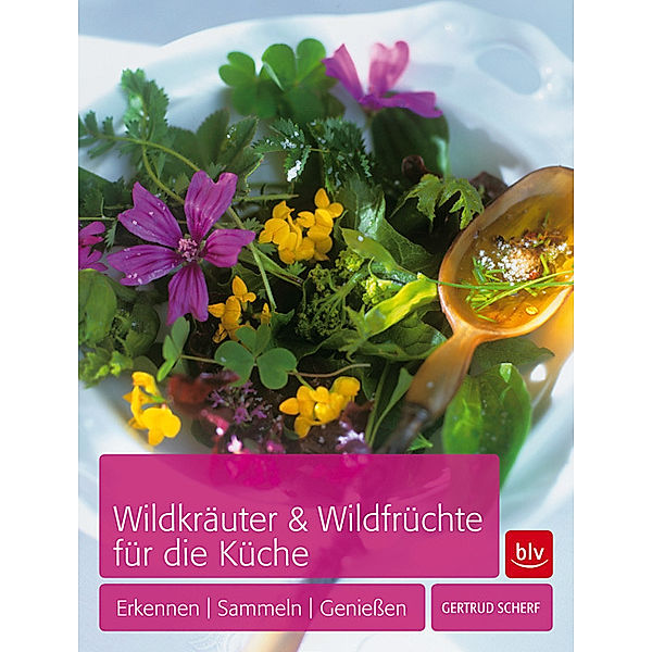 Wildkräuter & Wildfrüchte für die Küche, Gertrud Scherf