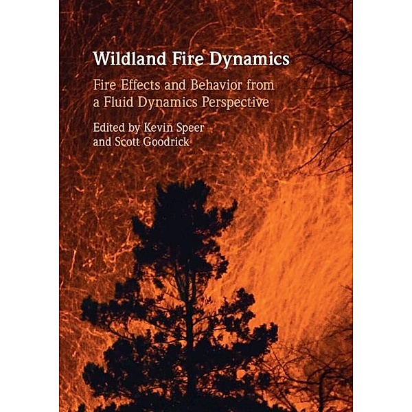 Wildland Fire Dynamics