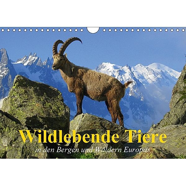 Wildlebende Tiere in den Bergen und Wäldern Europas (Wandkalender 2018 DIN A4 quer), Elisabeth Stanzer