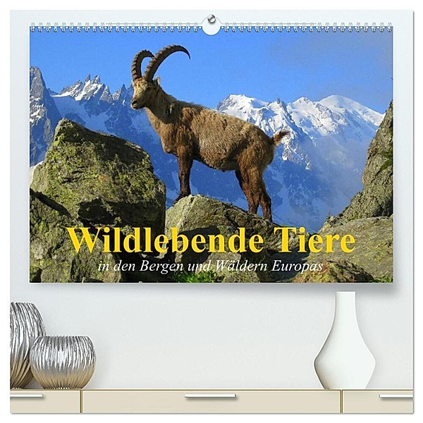 Wildlebende Tiere in den Bergen und Wäldern Europas (hochwertiger Premium Wandkalender 2024 DIN A2 quer), Kunstdruck in Hochglanz, Elisabeth Stanzer