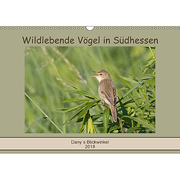 Wildlebende Vögel in Südhessen (Wandkalender 2018 DIN A3 quer), Daniela Buß
