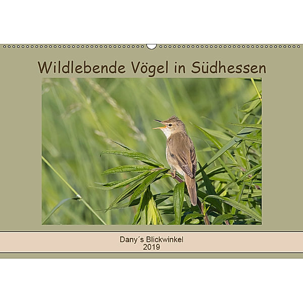 Wildlebende Vögel in Südhessen (Wandkalender 2019 DIN A2 quer), Daniela Buss