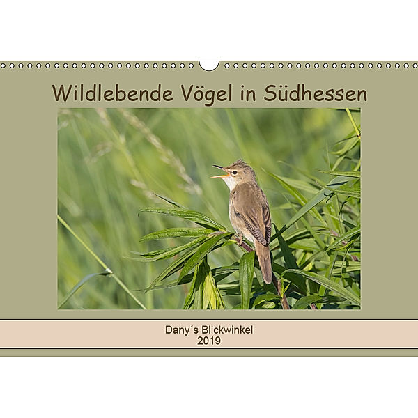 Wildlebende Vögel in Südhessen (Wandkalender 2019 DIN A3 quer), Daniela Buss