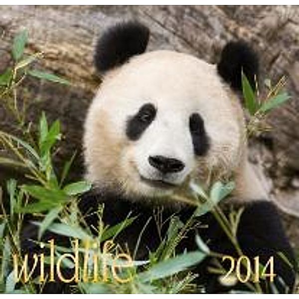 Wildlife 2014