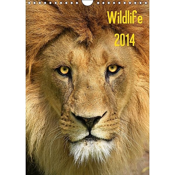 Wildlife 2014 (Wandkalender 2014 DIN A4 hoch), Jens Klingebiel